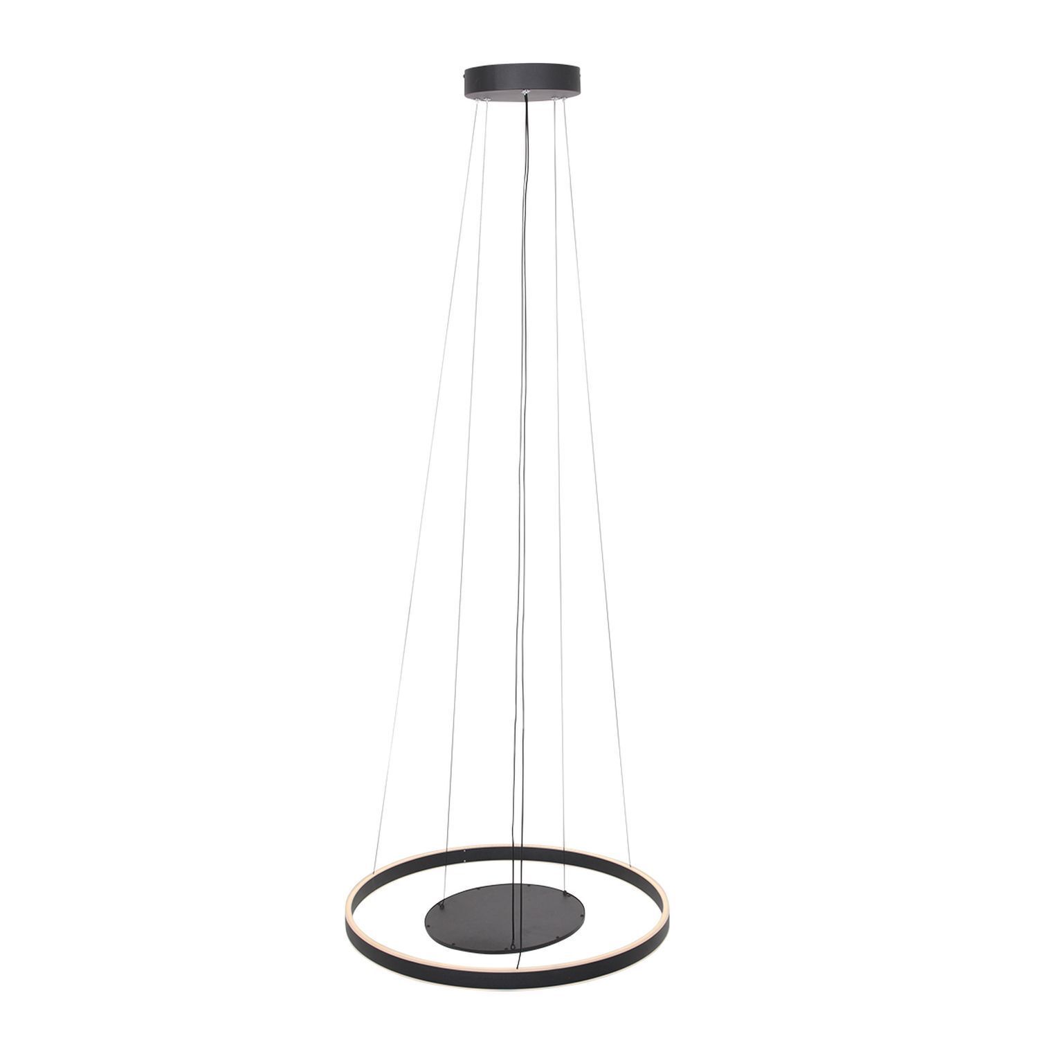 Lampe LED à suspendre noire Ø60 cm ronde 2700 K anneau plaque