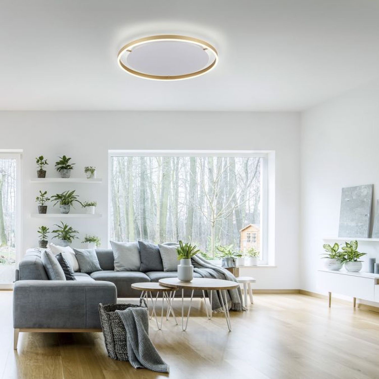 Dekoration für Zuhause, Couch, Pflanze, Innenarchitektur, Wohnzimmer