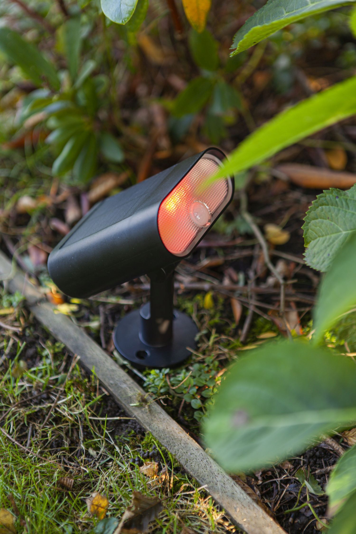 Beleuchtung, Lampe
