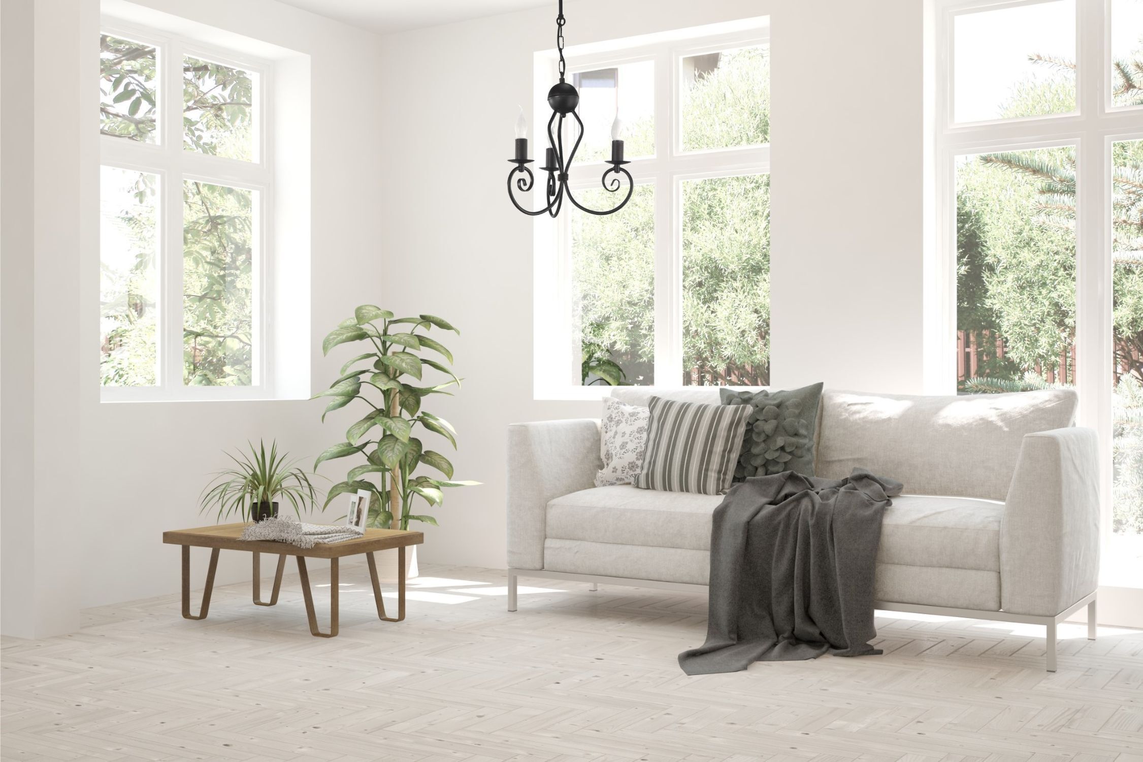 Französisches Fenster, Fenster, Pflanze, Couch, Dekoration für Zuhause