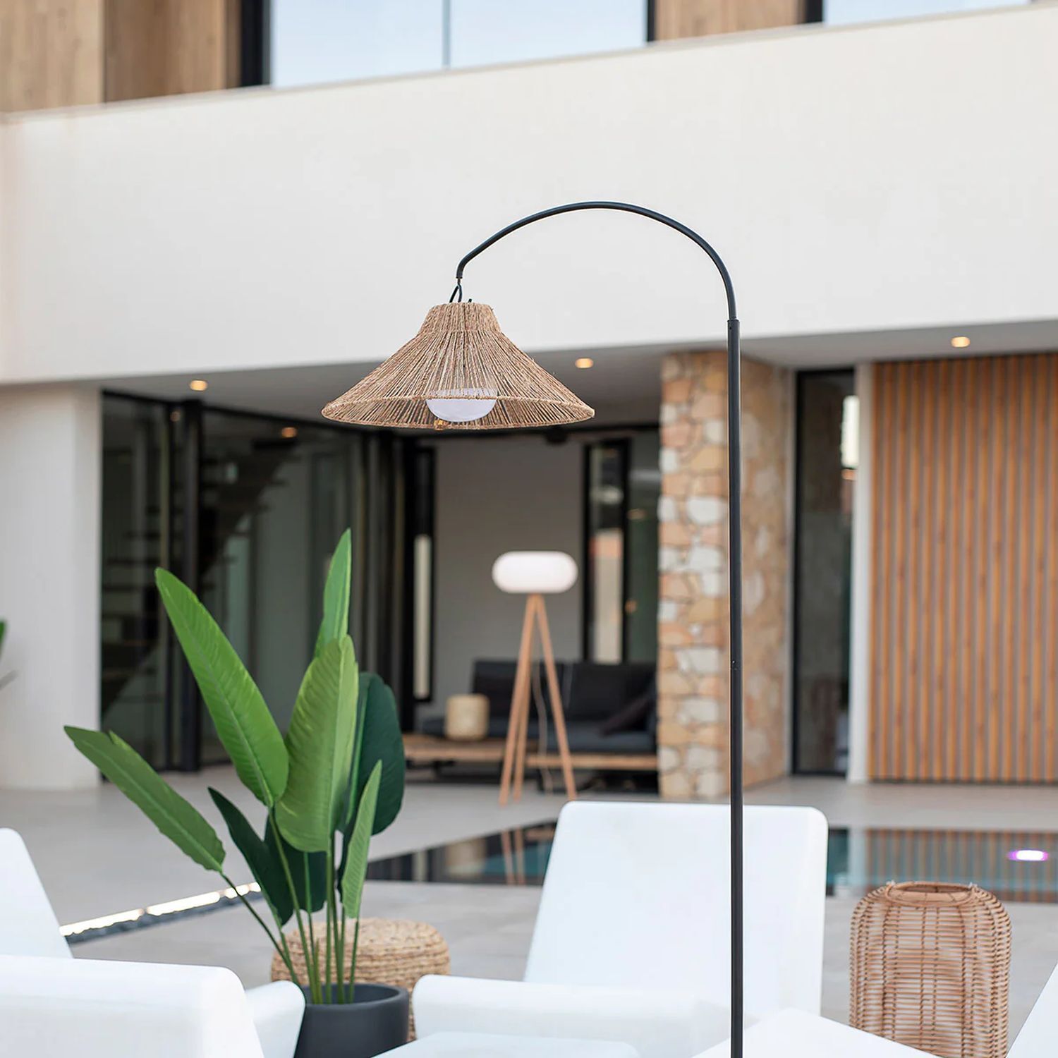 Lampe, Stehlampe, Drinnen, Innenarchitektur, Pflanze