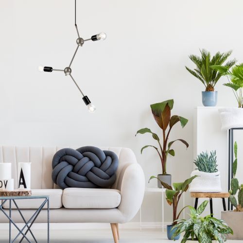 Lampe, Pflanze, Pflanze im Topf, Couch, Innenarchitektur