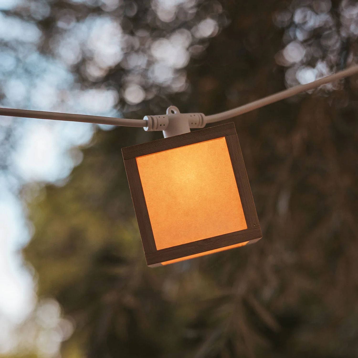 Lampe