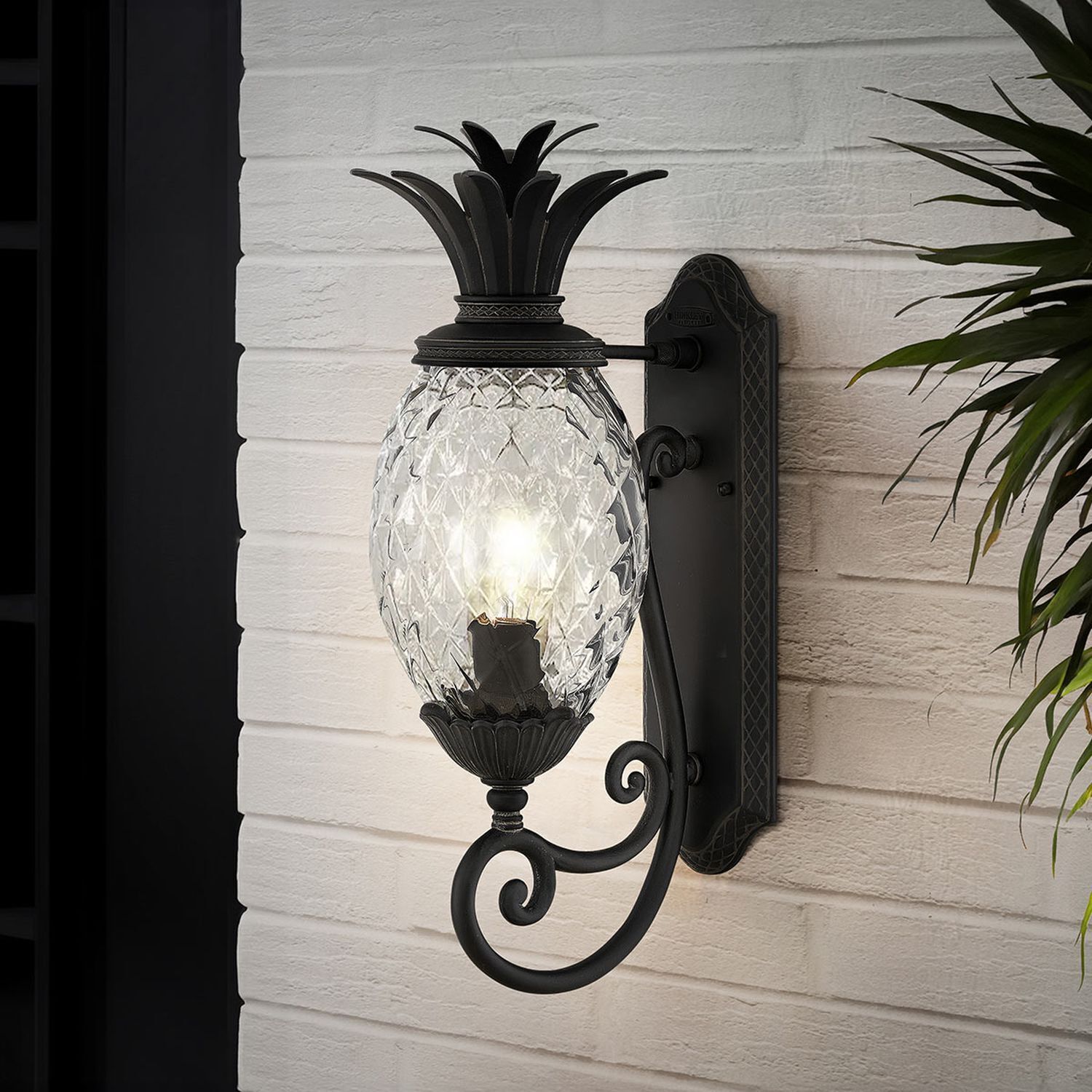 Leuchte, Pflanze, Lampe