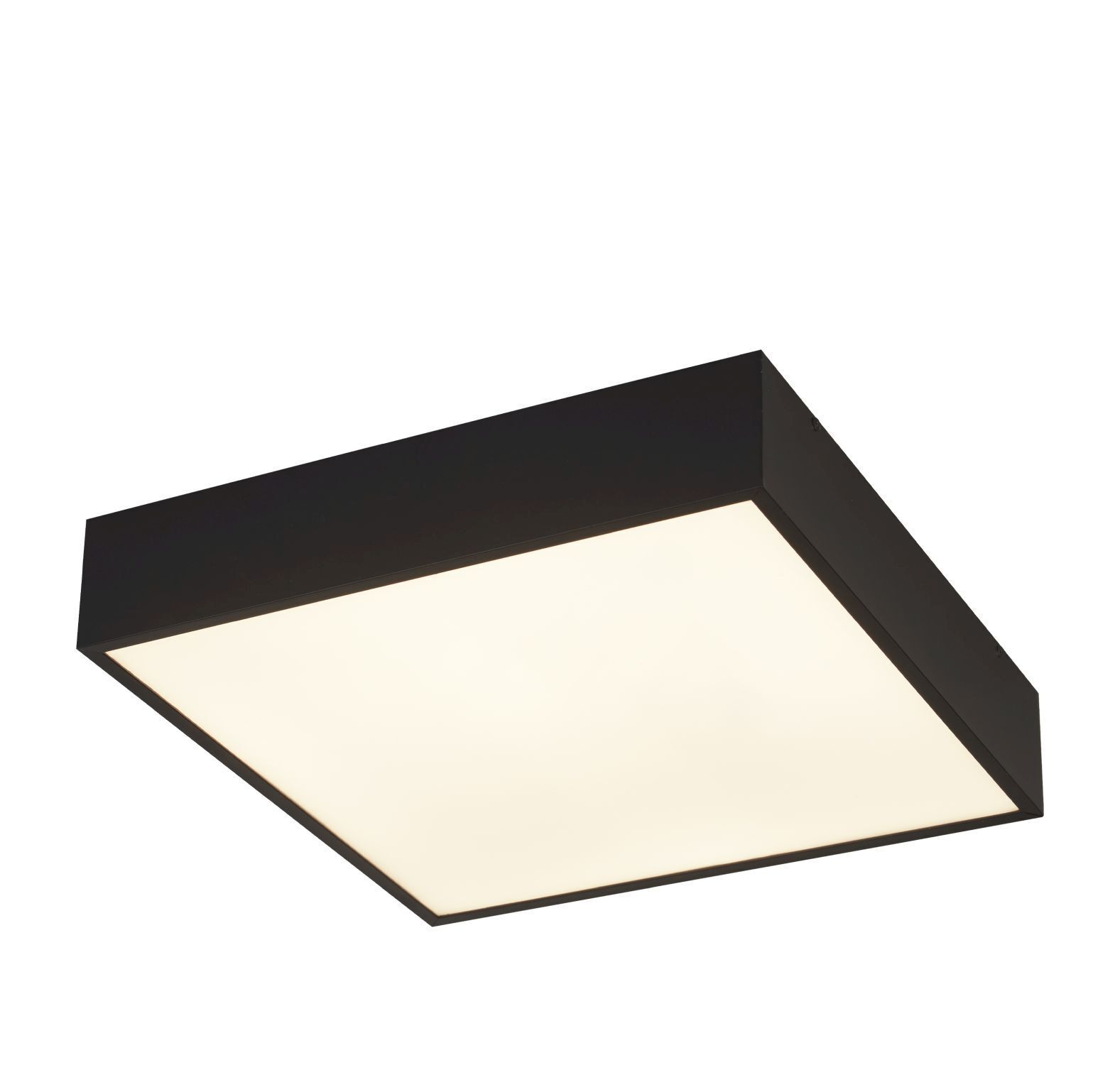 Plafonnier LED Aluminium IP44 L:30 cm Noir Blanc