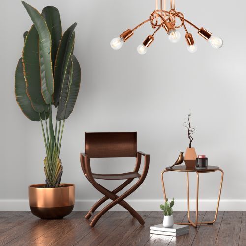 Pflanze, Pflanze im Topf, Lampe, Stuhl, Mobiliar
