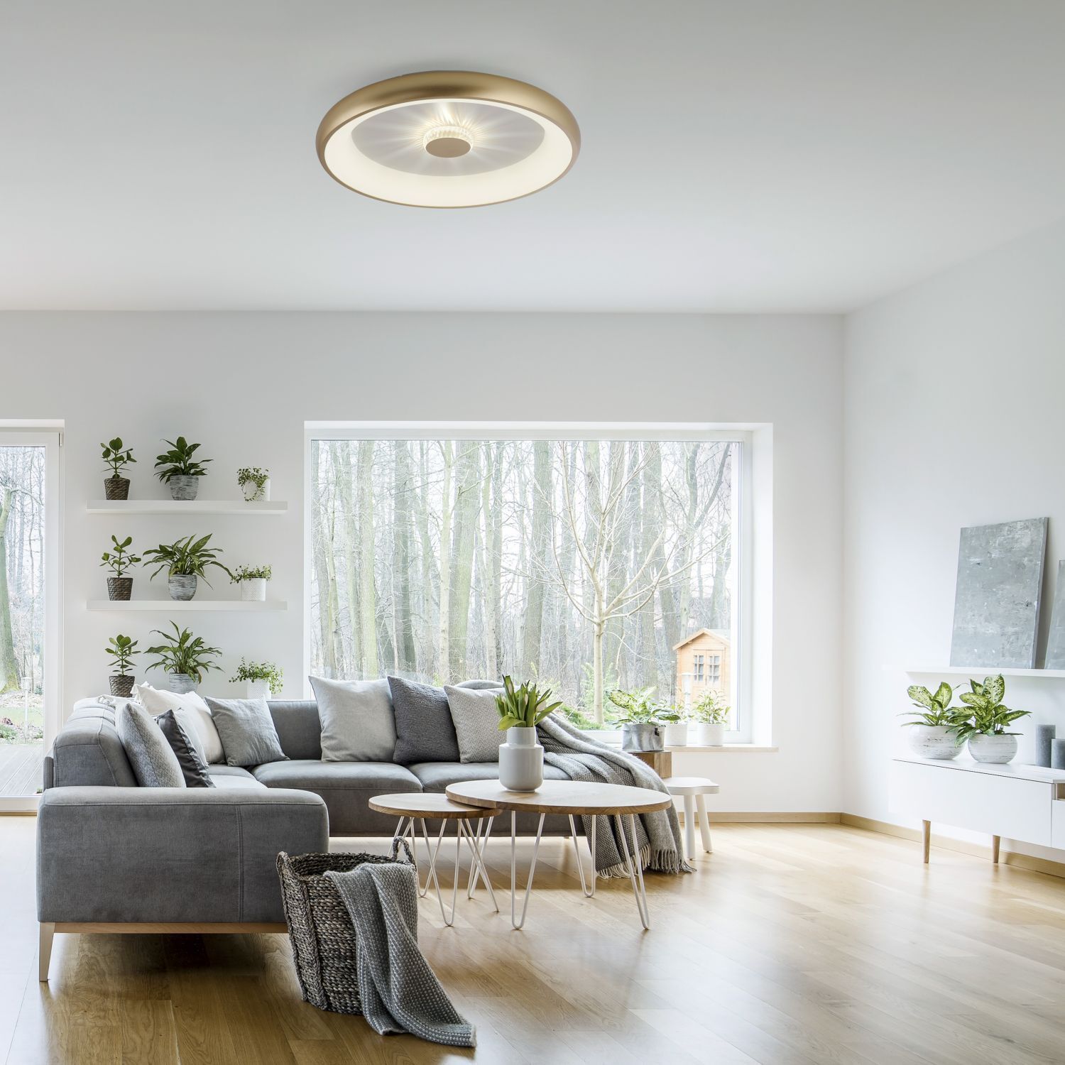 Dimmbare LED Deckenleuchte 2700-5000 K Ø61,5 cm Messing Dekoration für Zuhause, Pflanze
