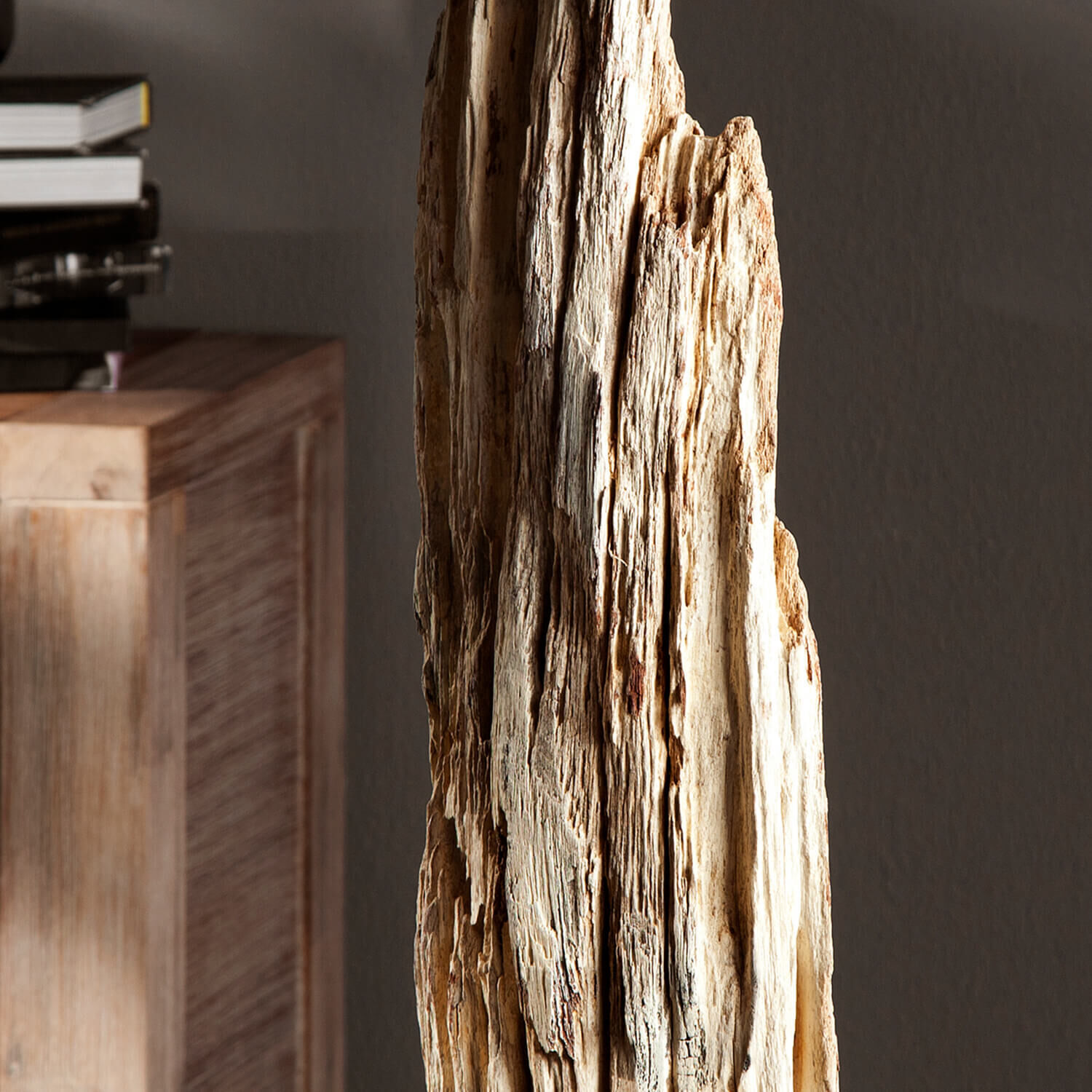 Holz, Pflanze, Baum, Treibholz