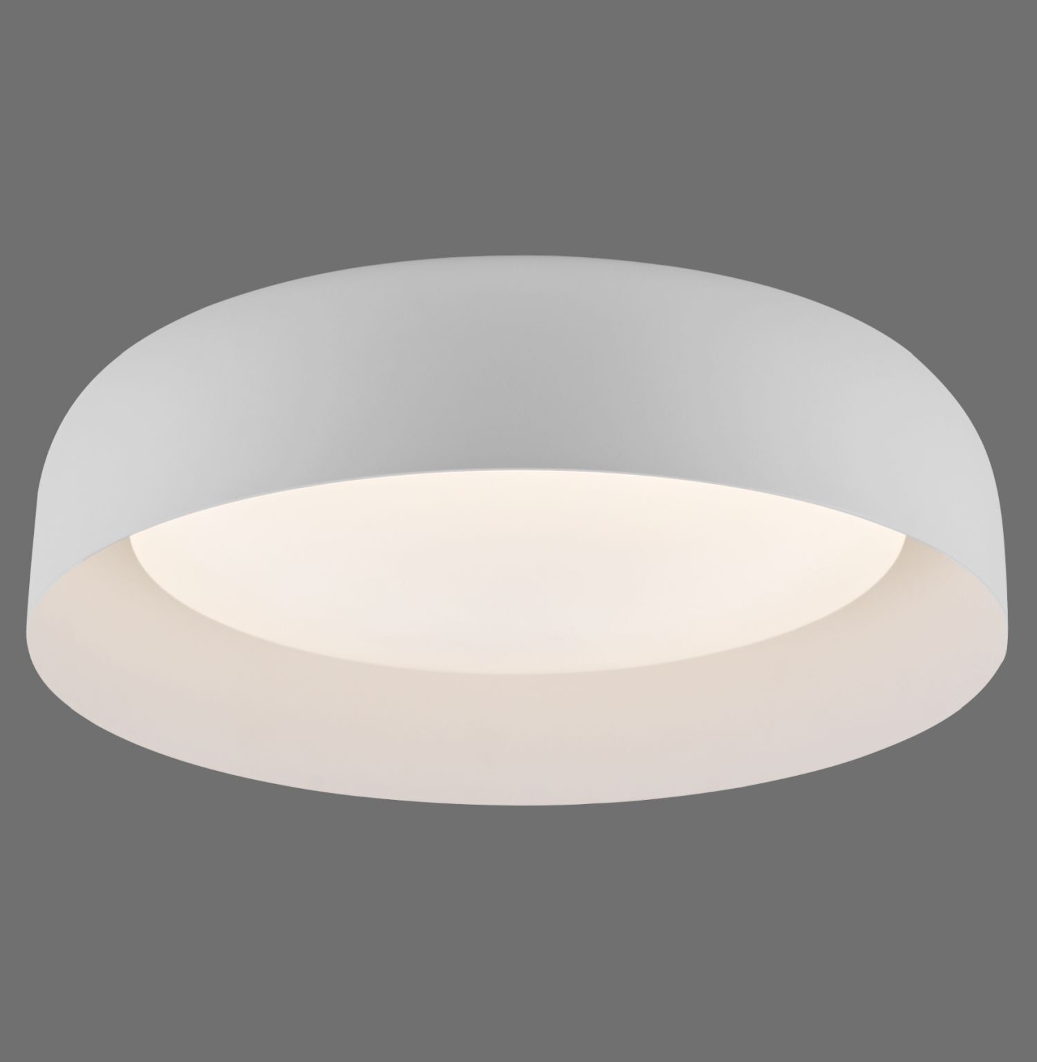 Deckenleuchte, Leuchte