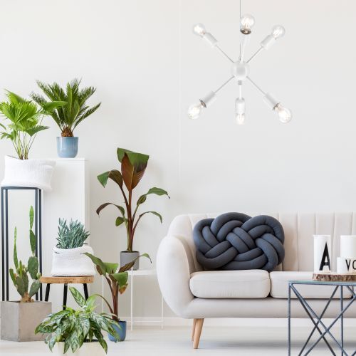 Pflanze, Pflanze im Topf, Lampe, Pflanzgefäß, Kronleuchter