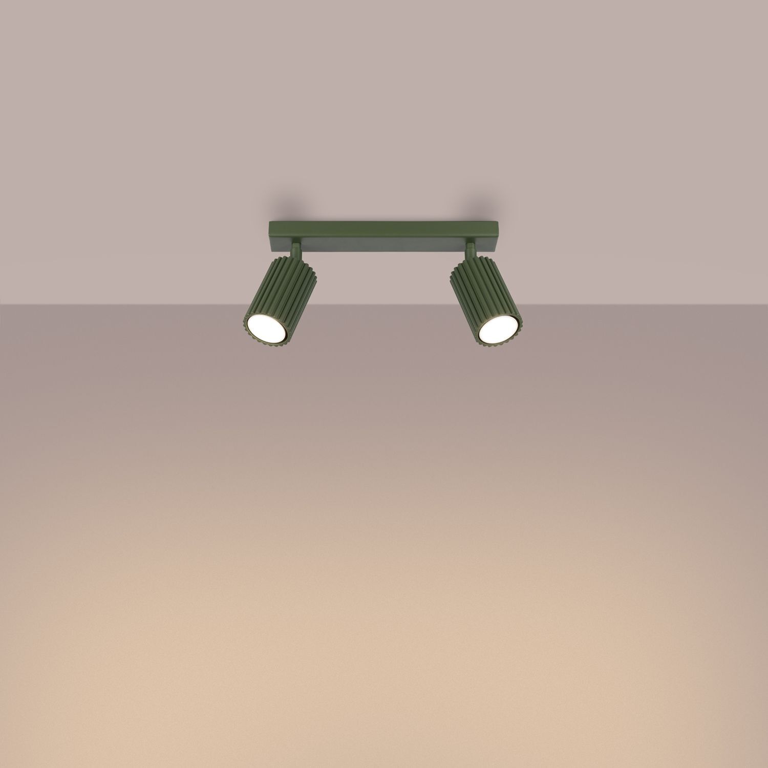 Projecteur de plafond à 2 flammes L : 30 cm petit orientable GU10 vert