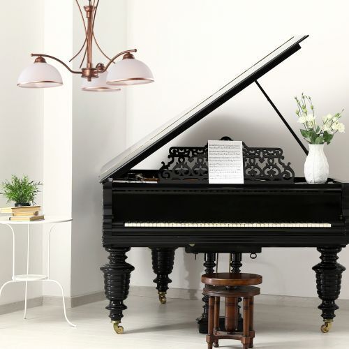 Flügel, Tastatur, Musikinstrument, Klavier, Pflanze