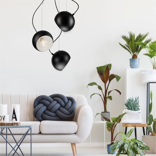 Pflanze, Pflanze im Topf, Lampe