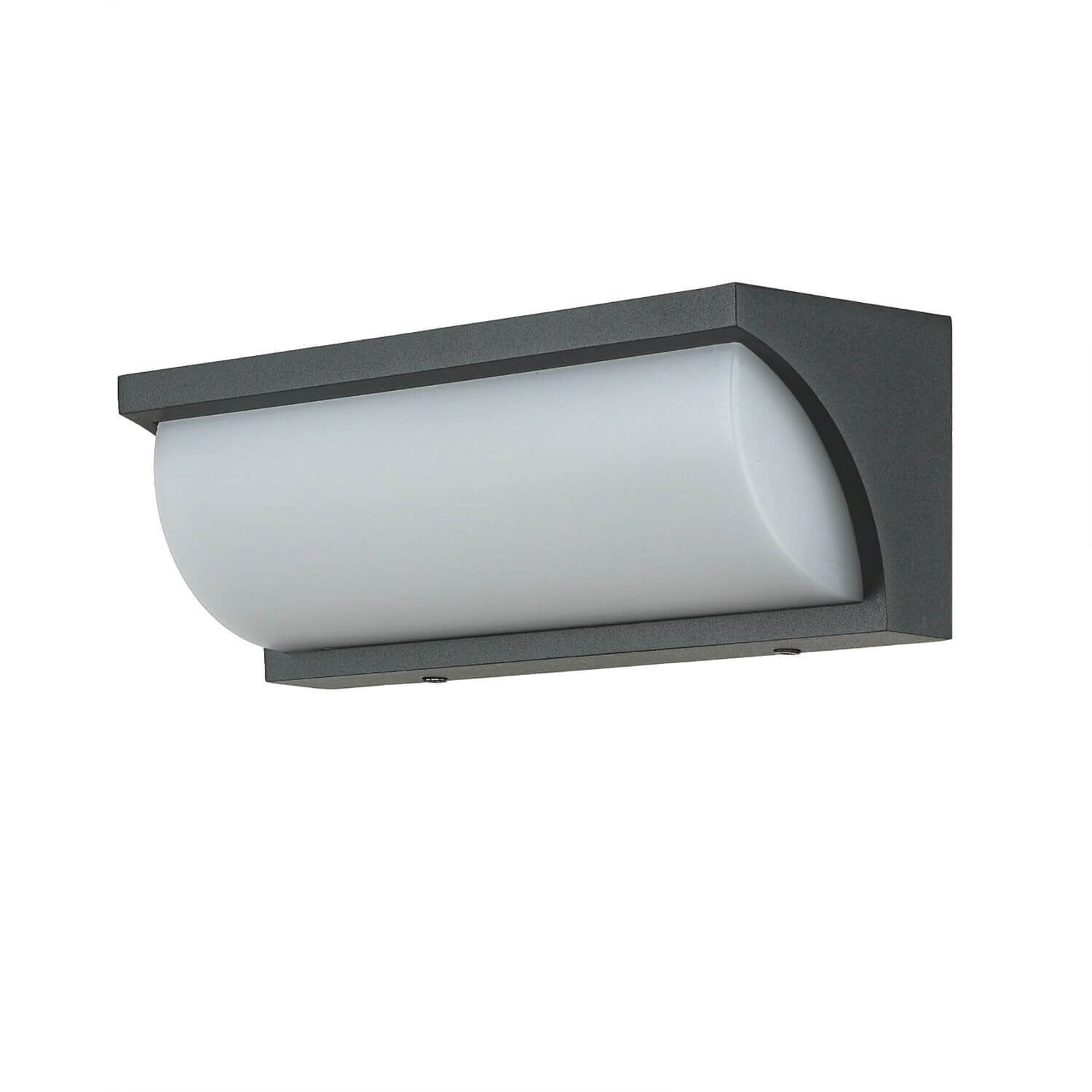 Applique murale LED TENBOS Anthracite IP65 Moderne Extérieur