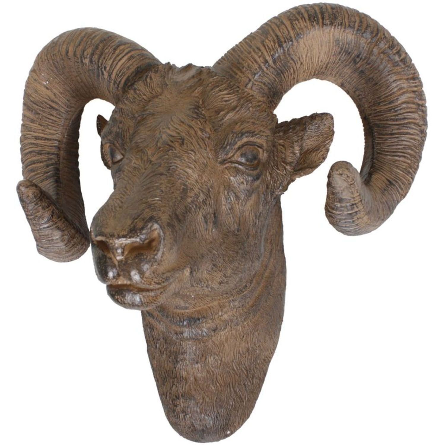 Tier, Elefant, Säugetier, Tierwelt