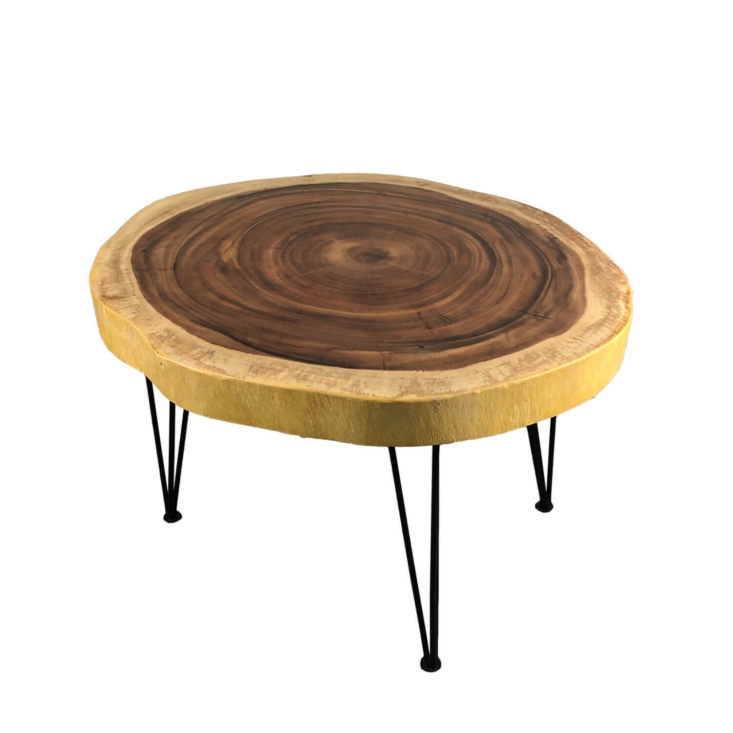 Table basse Rondelle d'arbre Bois d'acacia Métal Travail manuel Kaffeetisch, Mobiliar, Tabelle