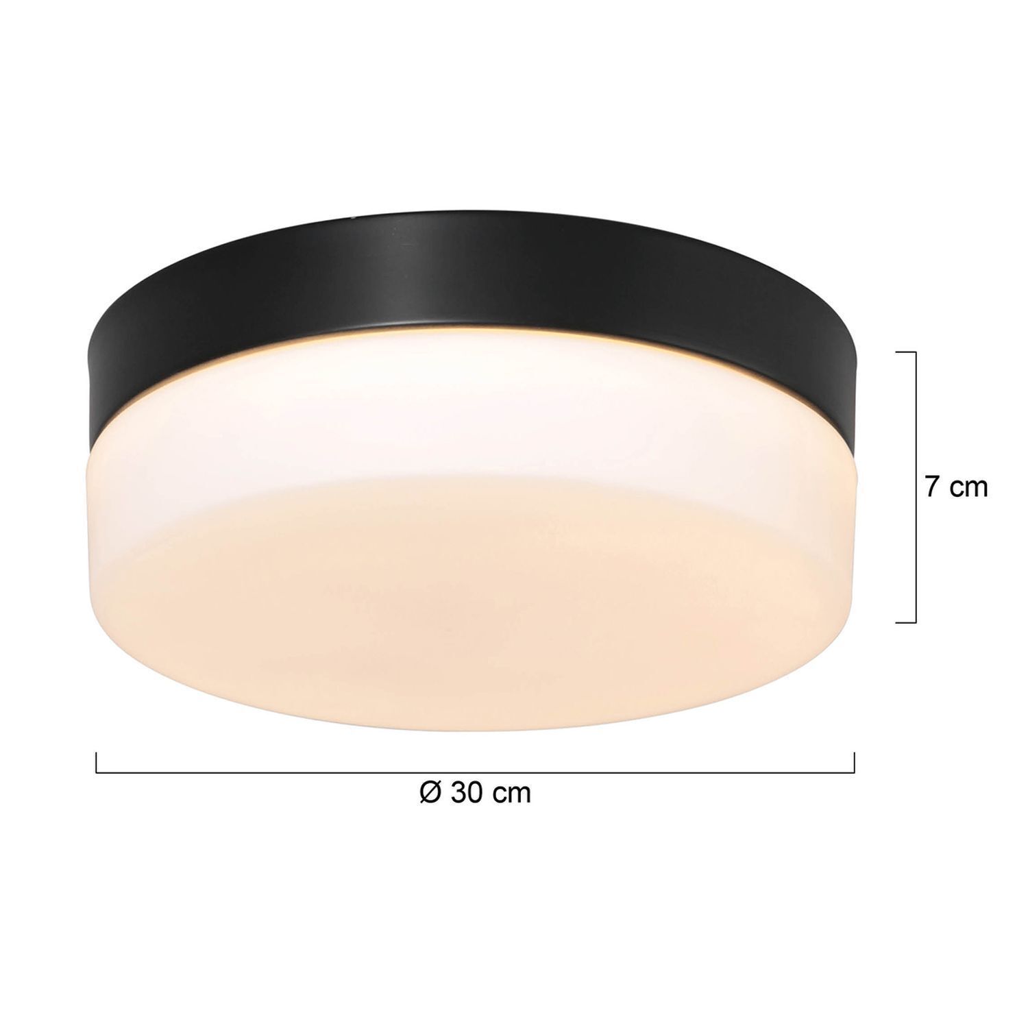 Plafonnier LED rond verre métal IP44 Ø30 cm 24 W