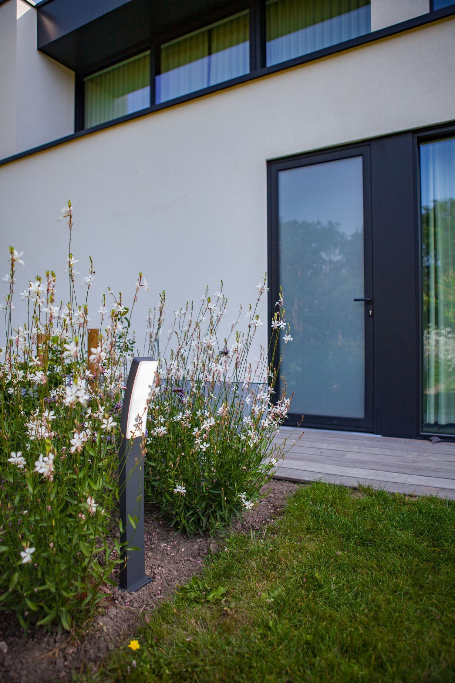 Tür, Gras, Kräuterig, Wohnen, Blume