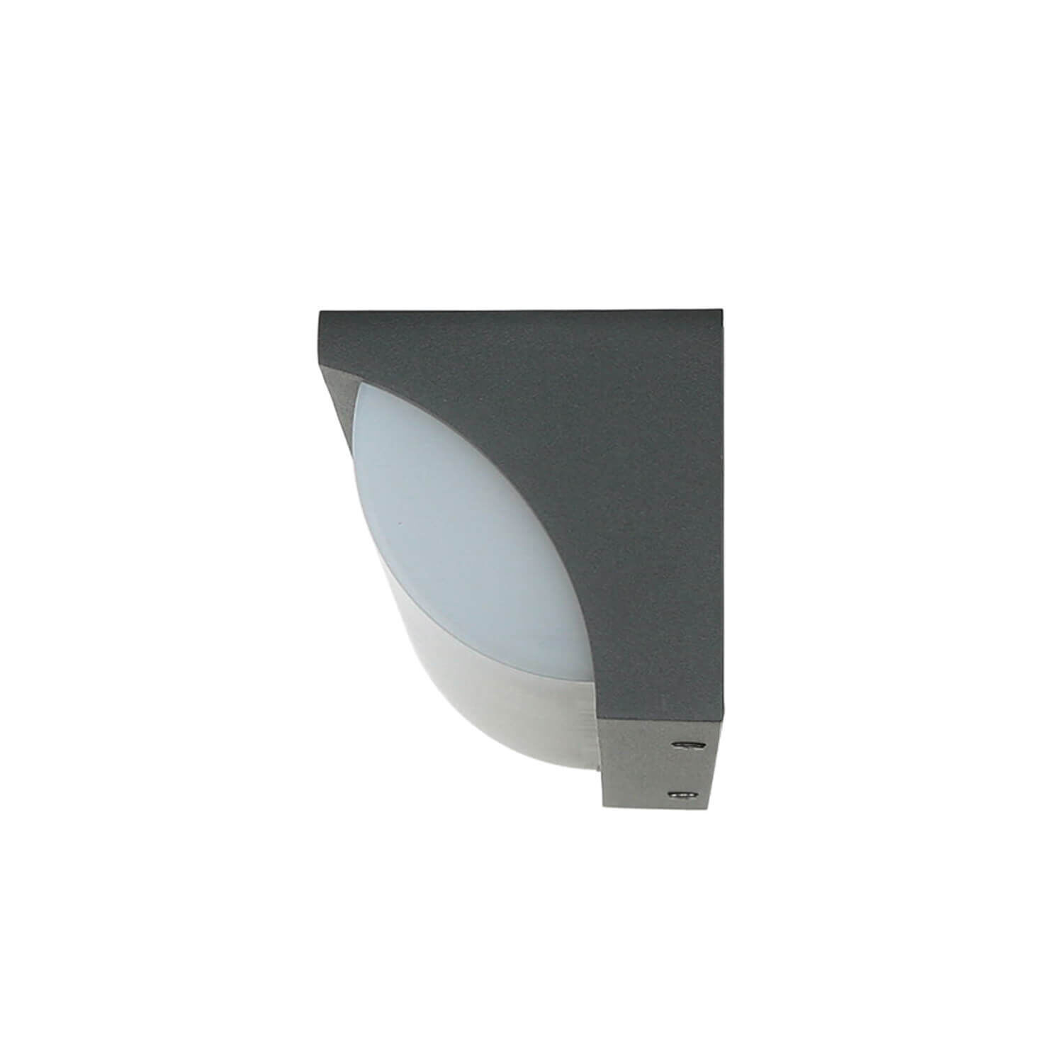 Applique murale LED TENBOS Anthracite IP65 Moderne Extérieur