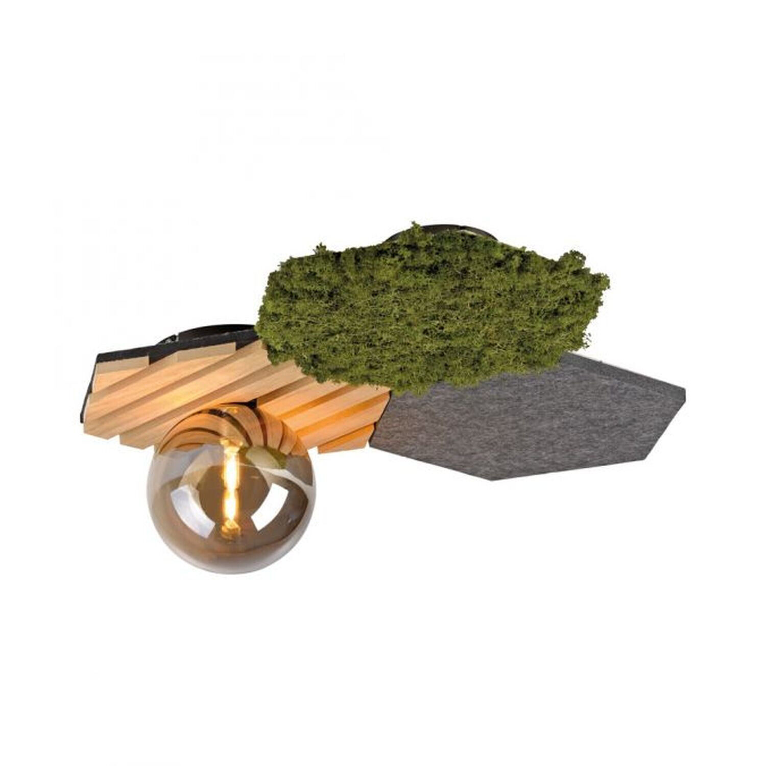 Plafonnier LED feutre chêne mousse verre fumé G9 faible éblouissement Moos, Pflanze