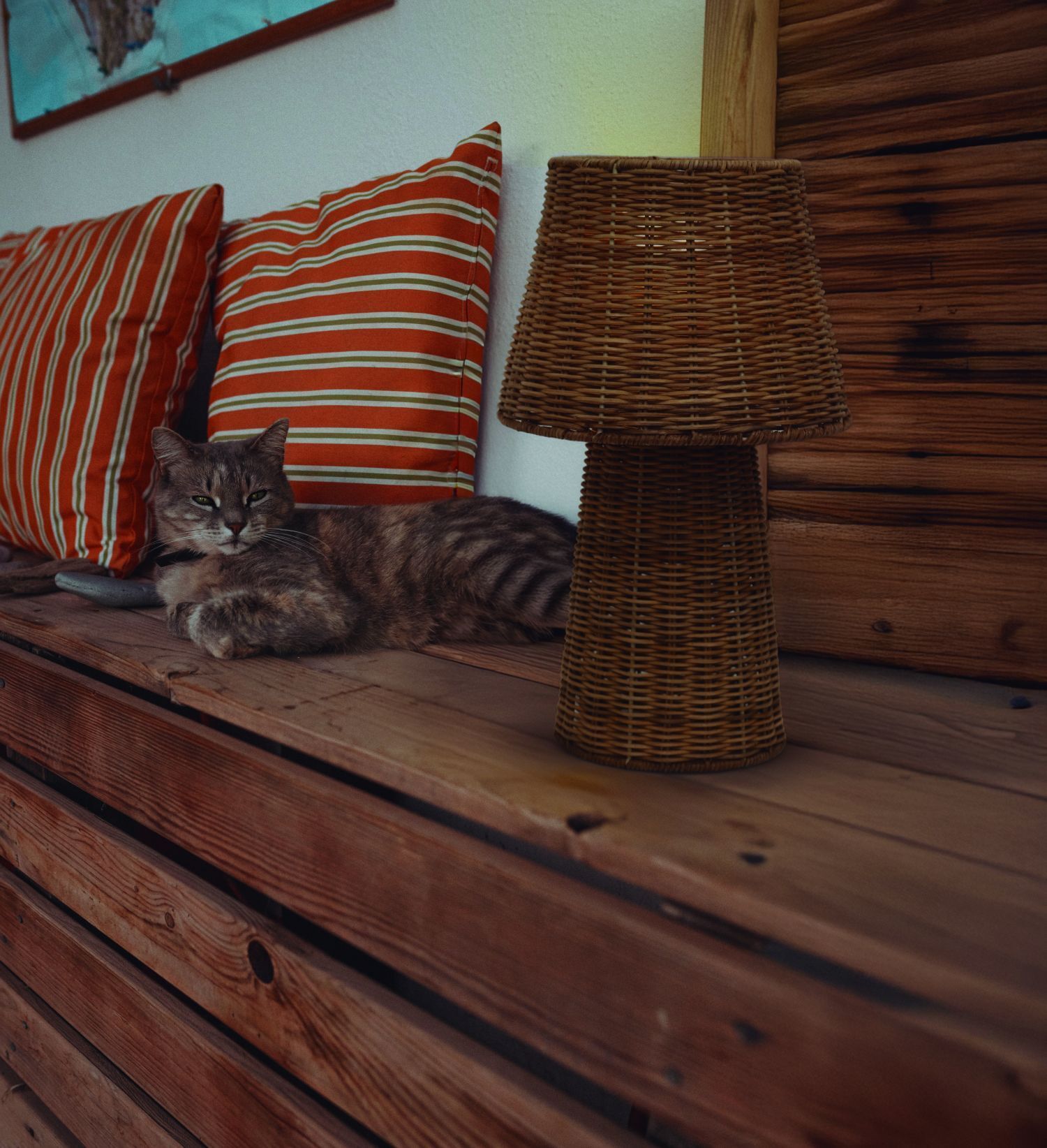 Katzenleben, Katzensitz, Holzbank, Korb-Lampe, Kissen Streifen