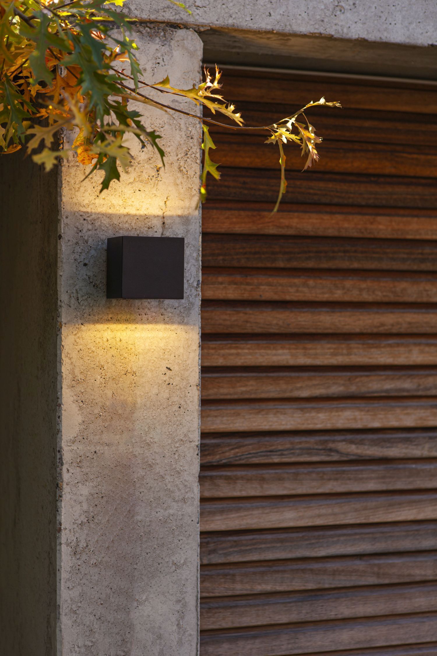 Drinnen, Innenarchitektur, Holz, Blatt, Mauer