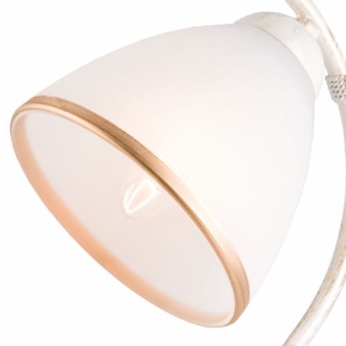 Lampe, Lampenschirm