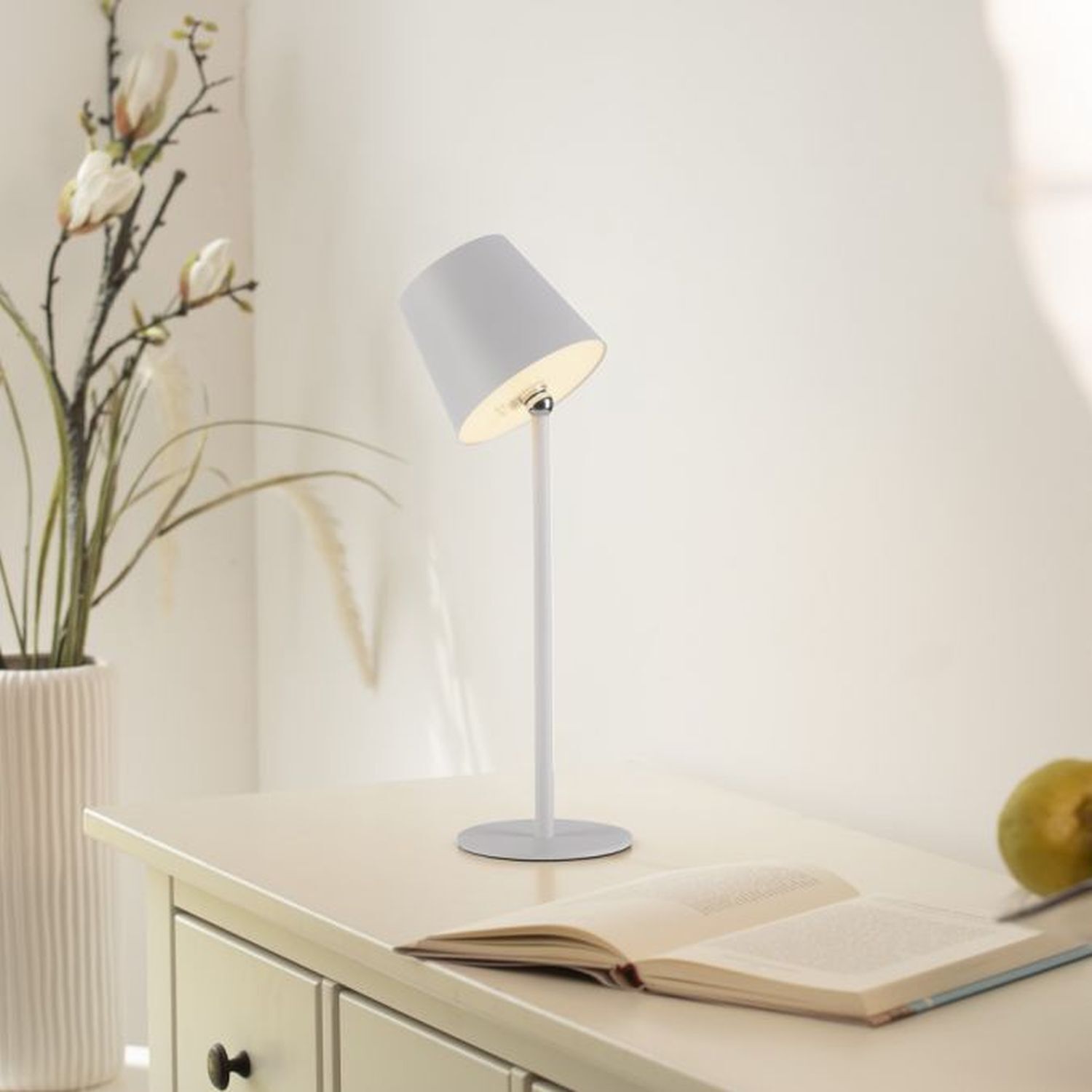 Lampe, Buch, Veröffentlichung, Stehlampe, Pflanze