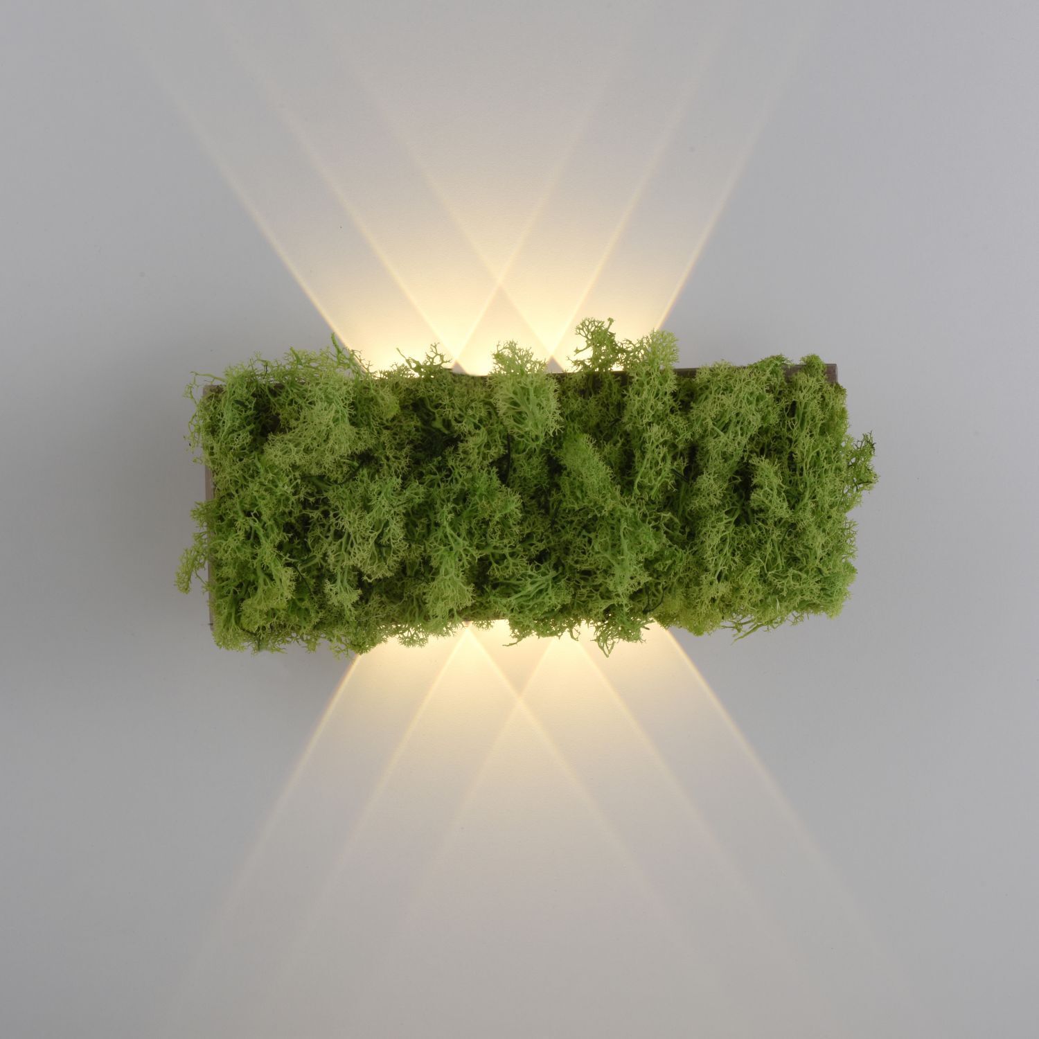 Applique LED Up Down L:32 cm 3000 K 130 lm en mousse Moos, Grün, Vegetation, Baum, Hecke