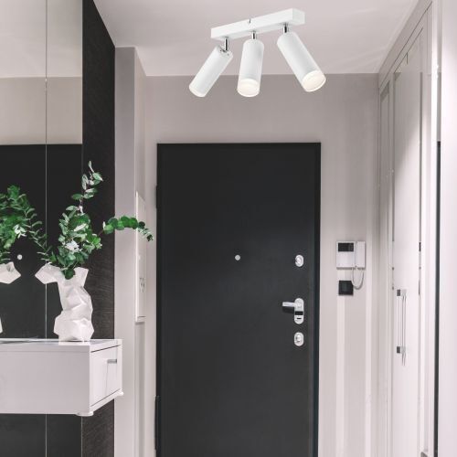 Pflanze, Pflanze im Topf, Lampe