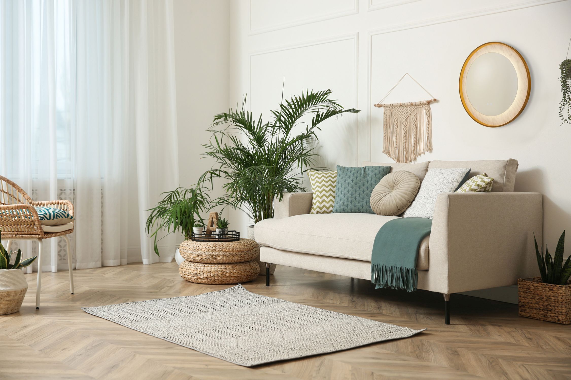 Dekoration für Zuhause, Teppich, Kissen, Pflanze, Wohnzimmer